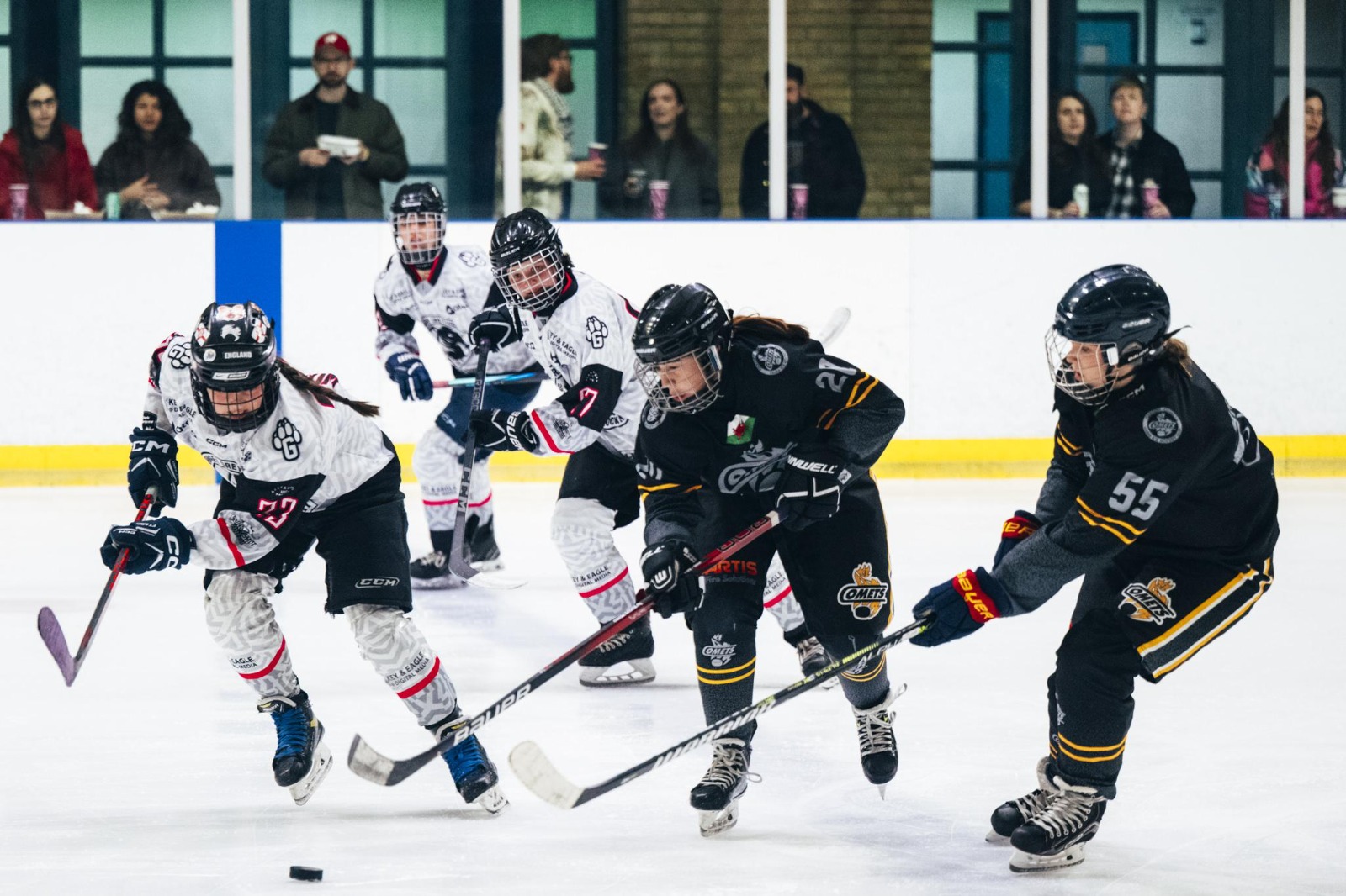Women's ice hockey players in action on the rink
